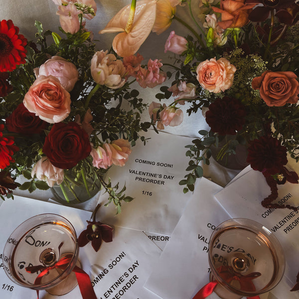 Valentine's Day Collection