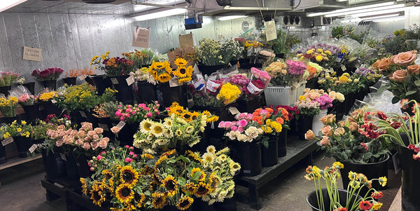 NJ and NYC Wholesale Flowers and Garden Center