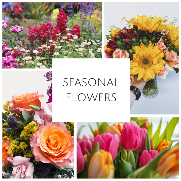 Seasonal Flowers