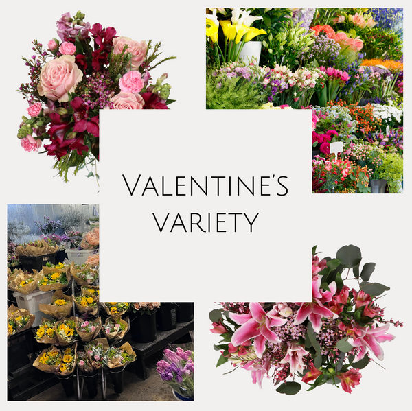 Valentine's Variety