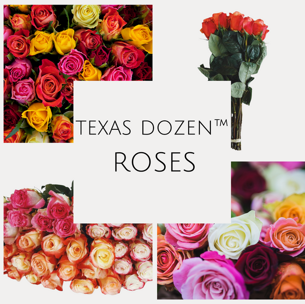 Texas Dozen™ Roses