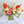 Load image into Gallery viewer, A vibrant, multicolor floral arrangement featuring pink, red, peach, and white flowers with green foliage, presented in a clear glass jar on a white draped table against a light gray wall.
