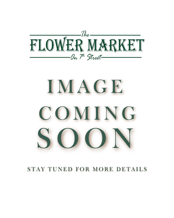 Mom & Me: Bouquet (14+) | May 2nd, 2026  (2-3:30pm)